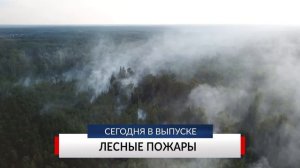 НОВОСТИ ДНЯ. Программа «Губерния», 1 апреля