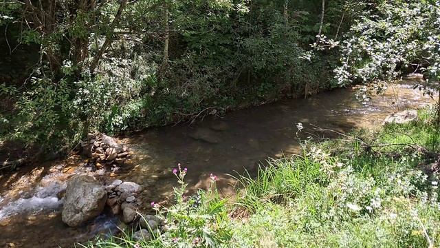 Березовая балка в Кисловодске: где находится и стоит ли посещать