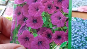 Цветы, рассада, лук, артишок на 30.03.26 г. 🌺🌱