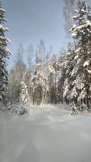 Весенний день в лесу