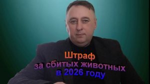 Штраф за сбитых животных в 2026 году