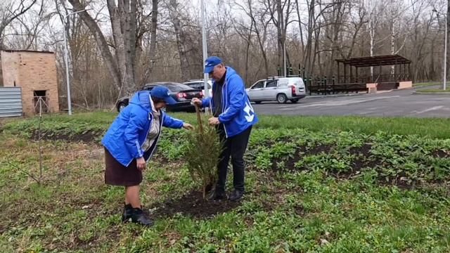 Сад Памяти в Амвросиевке смотреть онлайн