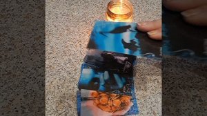 что у крыс происходит....