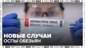 В Подмосковье выявили два новых случая оспы обезьян - Москва 24