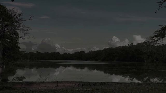 Testament of Silence.