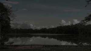 Testament of Silence.