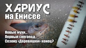 Хариус на Енисее. "Деревяшка" сдает позиции..