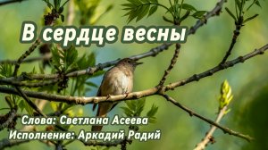 В сердце весны (песня под гитару)