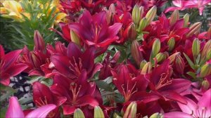 Код бесконечных денег. Как включить цифру богатства 3 апреля.