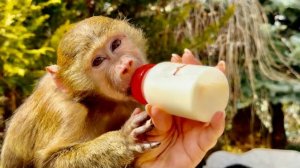 Анфиса НЕИСПРАВИМА! Мы рассказываем о ВАЖНЫХ ВЕЩАХ, а Анфиса решила ПОМОЧЬ С УБОРКОЙ ПАРКА😂