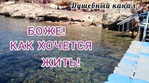 БОЖЕ! КАК ХОЧЕТСЯ ЖИТЬ!