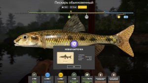 ПЕСКАРЬ ТРОФЕЙ!!!ТОЧКА НА ЕЛЬЦА!!!РЕКА ВЬЮНОК - РУССКАЯ РЫБАЛКА 4