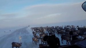 Макс Вертиго - Туда где снега