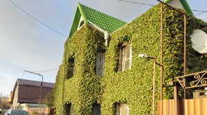 ⚕️🏥Детская  больница имени Г.К. Филиппского» Ставрополь! Территория больницы.