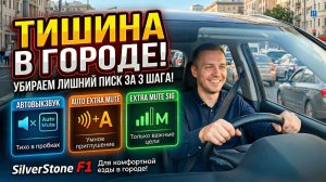 УБИРАЕМ ПИСК С РАДАРА  SilverStone F1