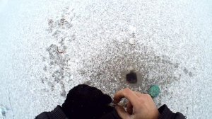 Выход на ПЕРВЫЙ ЛЁД Ловлю ОКУНЯ уже со льда ВСТРЕТИЛ ГОСТЬЮ! Зимняя Рыбалка 2019 - 2020