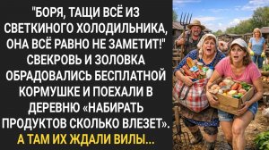"Боря, тащи все из Светкиного холодильника!" Свекровь и золовка добрались до бесплатной кормушки...