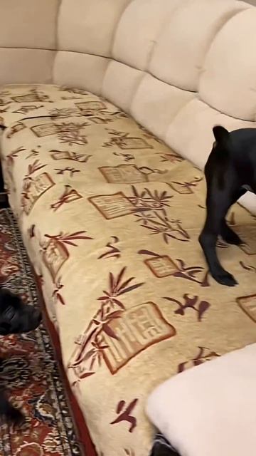 1 апреля 2026 г.