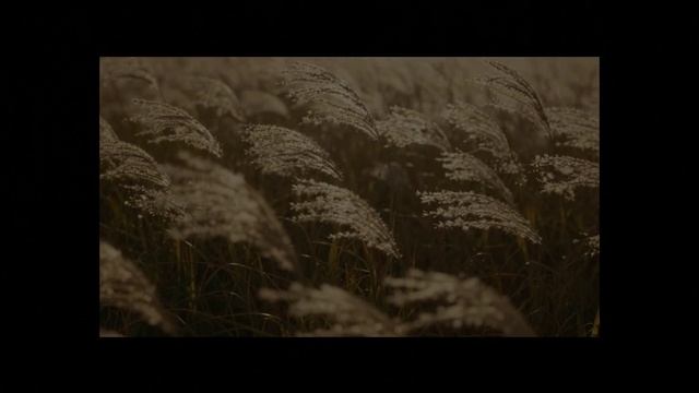 ДУША ЗА БЕЛОЙ РЕЧКОЙ ВСЛЕД БЕЖИТ... (А.В.)