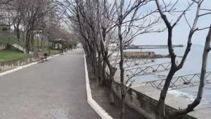 ОДЕССА 2 АПРЕЛЯ 2026. ГДЕ СЕНСАЦИЯ ОТ ГОДОНА! «УКРАИНА-ПРЕСТУПНОЕ ГОСУДАРСТВО!» АМАЗОНКИ ВСУ!