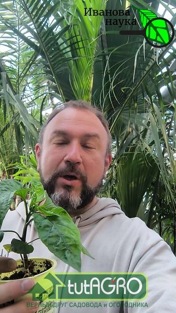 Забудьте всё, что вы знали о рассаде: этот способ меняет всё! Вот фундамент для рекордного урожая.