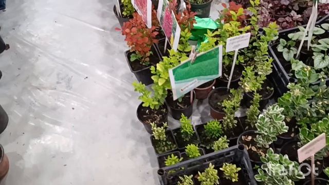 ЯРМАРКА ДАЧНЫЙ СЕЗОН И ОХОТА И РЫБОЛОВСТВО РОСТОВ