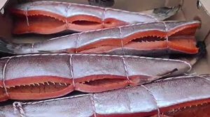 Спинка форели слабой соли