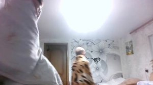 Спектакль о "О приведении Валеры и его другана