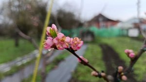 Дни, недели просто летят...