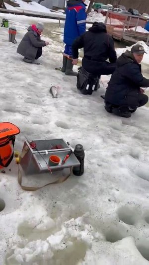 02.04.26 г. РК Волна.