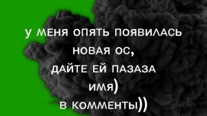 НОВАЯ ОС! ЧИТ ОПИС!! ПИШЕМ В КОММЕНТАРИИ