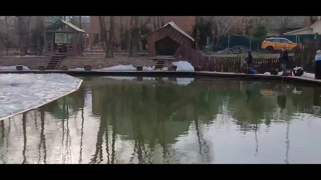 1000021573.mp4 смотреть онлайн