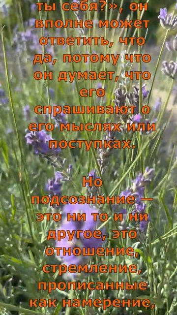 Недовольство собой