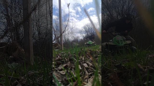 покатушки по болоту