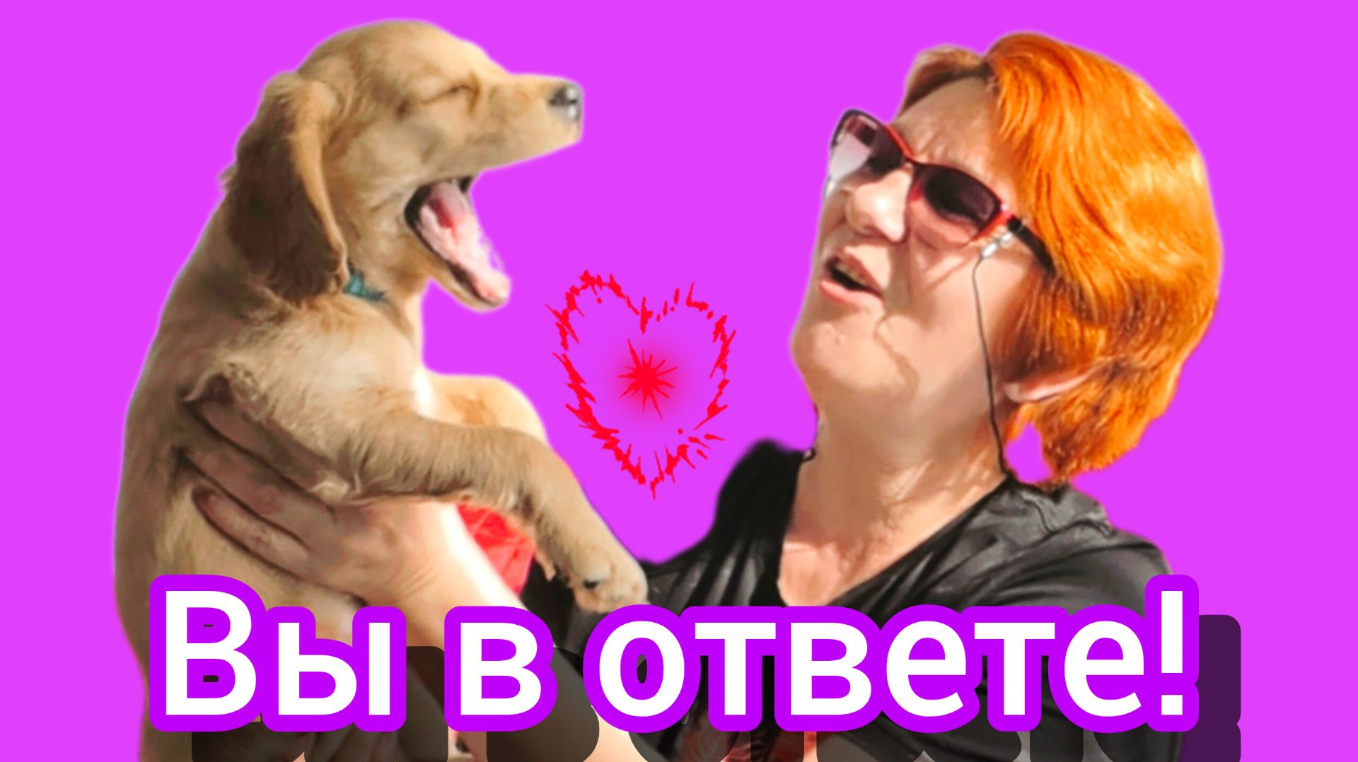 ХОЧУ  щенка!🧐😉♥️