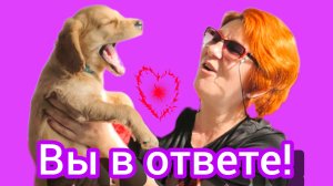 ХОЧУ  щенка!🧐😉♥️