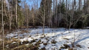 Мини-коп с камрадами