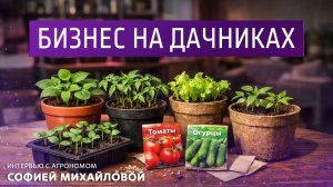 Бизнес на дачниках. Интервью с агрономом Софией Михайловой