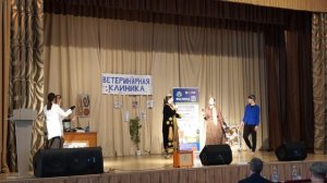 Внутривузовская «Студвесна» концерт от студентов ветеринаров