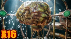 Х16 (42) | СТАЛКЕР НАРОДНАЯ СОЛЯНКА OGSR 2026