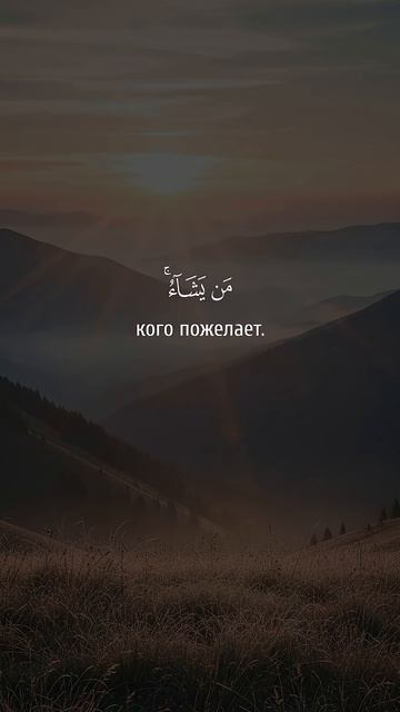 Салман Аль-Утейби. Сура 24 Ан-Нур аят 35