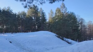 Встречаем весну. Пора оживать!