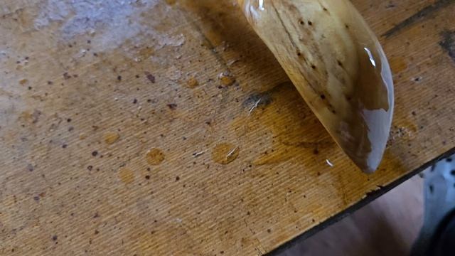 Доставка свай завершение сложной работы и первый весенний дождь