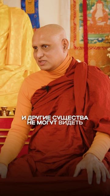 Животные живут в мире ада?