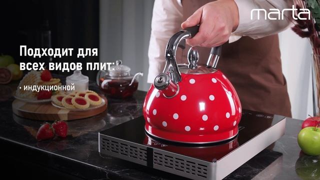 Металлический чайник MARTA MT-KT3103B