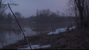 весенняя охота с (подсадной)