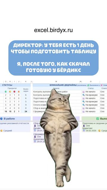 Будем только рады, если таблицы вам помогут в работе ❤️ #юмор #кот #excel