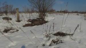 Открытие сезона 26 года, всё ещё неделя и можно ездить искать металл.