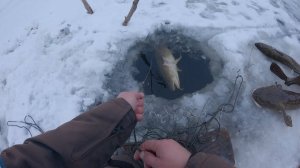 Зимний Выход на Рыбалку. Русская Рыбалка в с. Молька. Ловлю Мелочевку. Рыбалка Онлайн