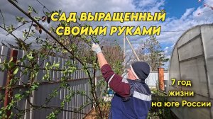 1117 Жизнь семьи на Кубани/Весенние работы в саду/Как нас найти на МАХ